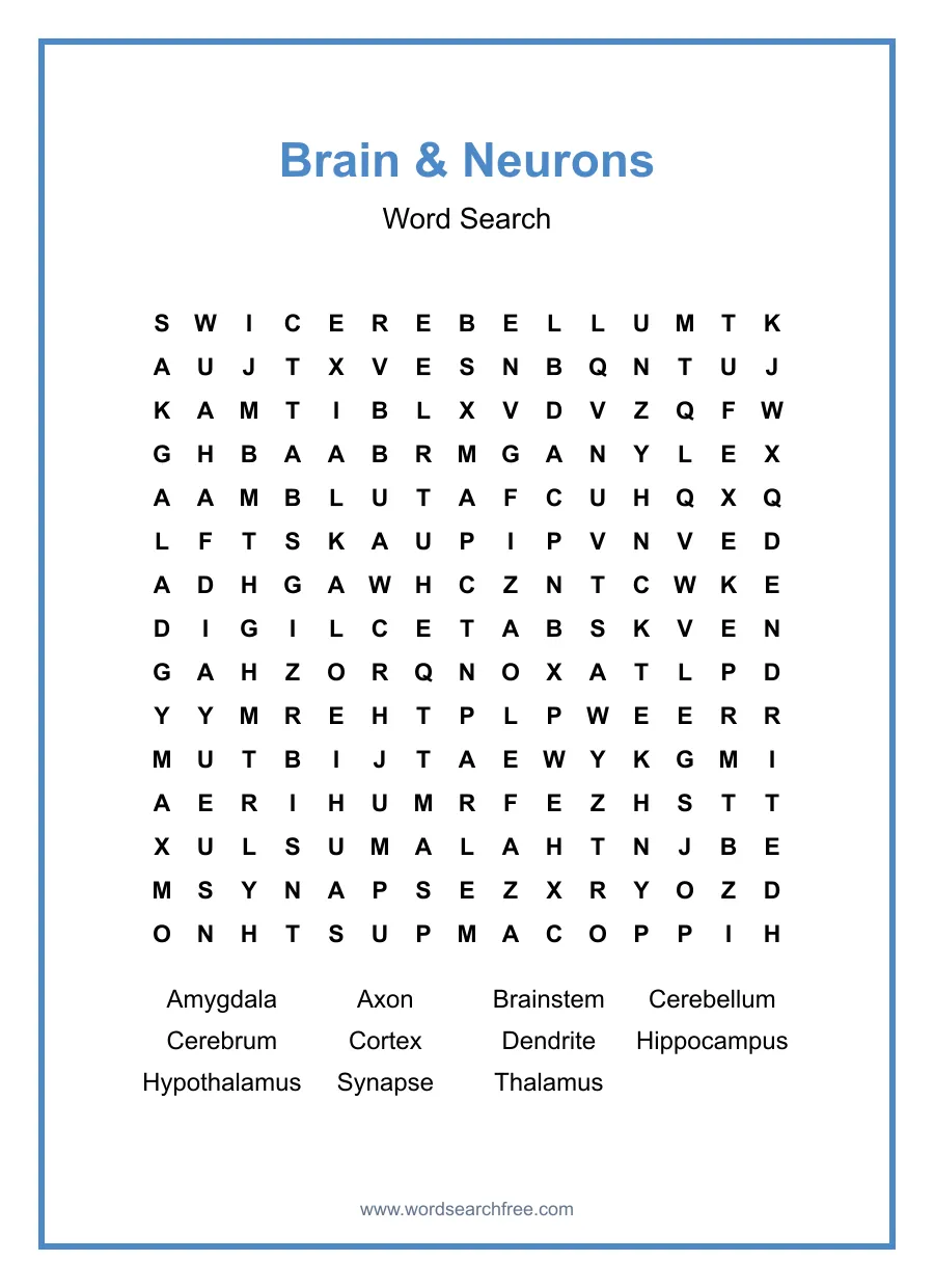 Brain & Neurons Word Search - Free printable puzzle with 11 words
