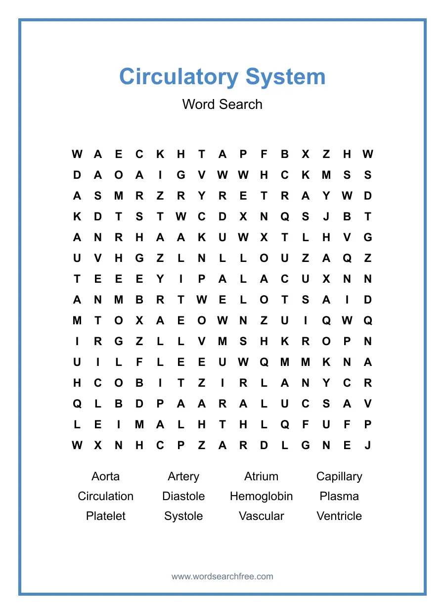 Circulatory System Word Search - Free printable puzzle with 12 words