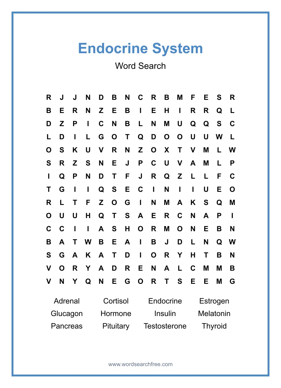 Endocrine System Word Search - Free printable puzzle with 12 words