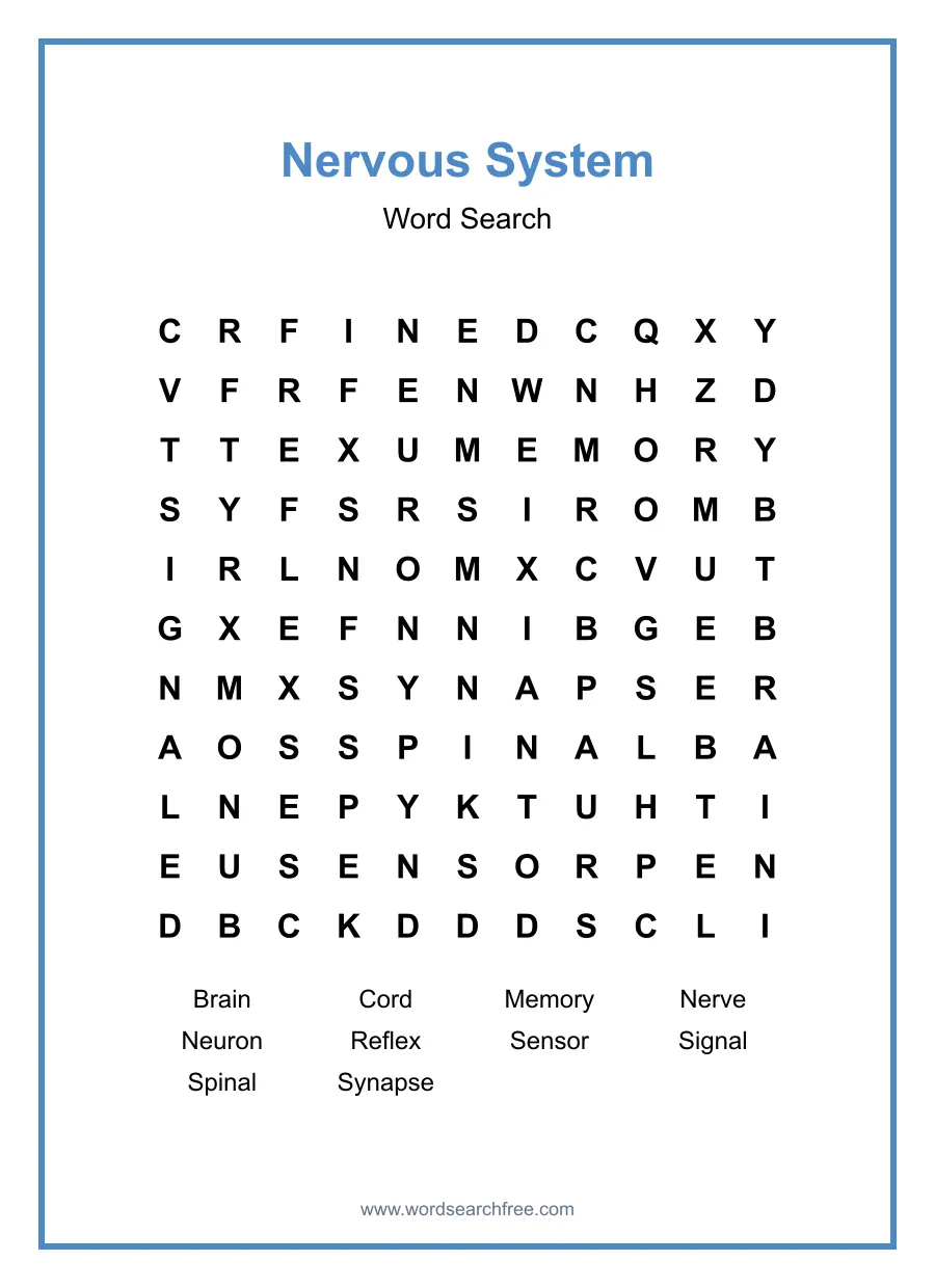 Nervous System Word Search - Free printable puzzle with 10 words
