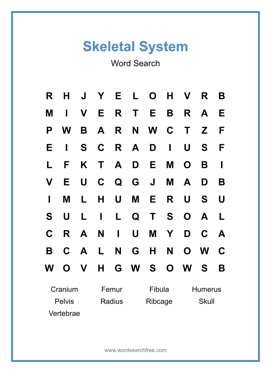 Skeletal System Word Search - Free printable puzzle with 9 words